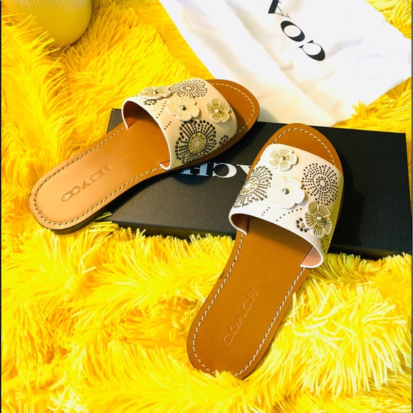 Final Sale🦋Coach Slide Sandal 6.5 Tea Rose Chalk - Picture 1 of 10